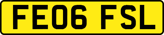 FE06FSL