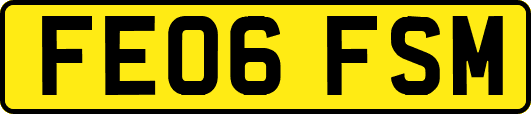 FE06FSM