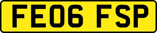 FE06FSP