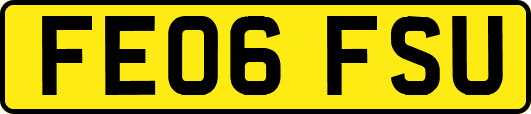 FE06FSU