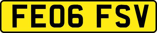 FE06FSV
