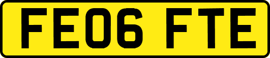 FE06FTE