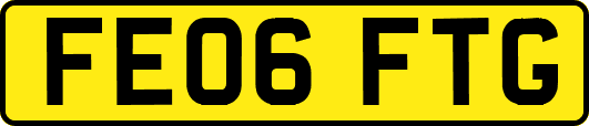 FE06FTG