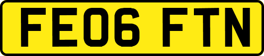 FE06FTN