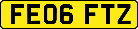 FE06FTZ