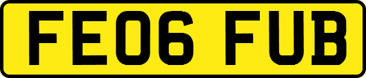 FE06FUB