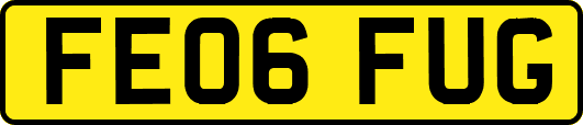 FE06FUG