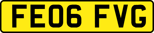 FE06FVG