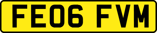 FE06FVM