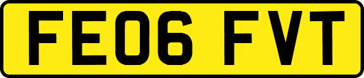 FE06FVT