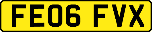 FE06FVX