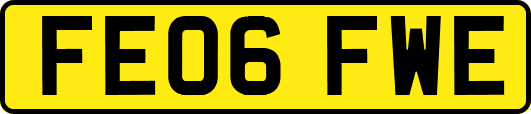 FE06FWE