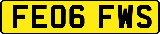 FE06FWS