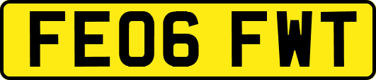 FE06FWT