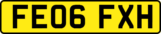 FE06FXH