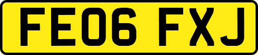 FE06FXJ