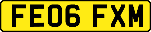 FE06FXM