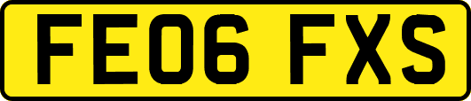 FE06FXS