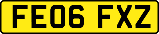 FE06FXZ