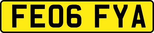 FE06FYA