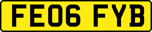 FE06FYB