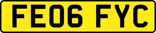 FE06FYC