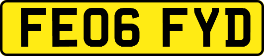 FE06FYD