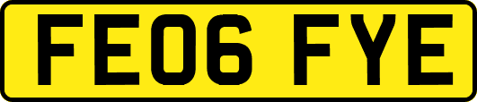 FE06FYE