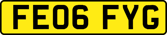 FE06FYG