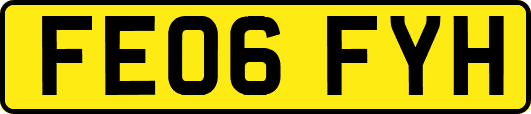 FE06FYH