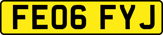 FE06FYJ