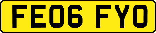 FE06FYO