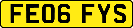 FE06FYS