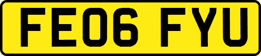 FE06FYU