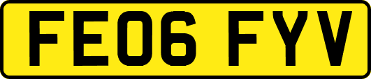 FE06FYV