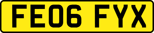 FE06FYX