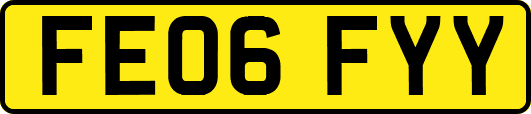 FE06FYY