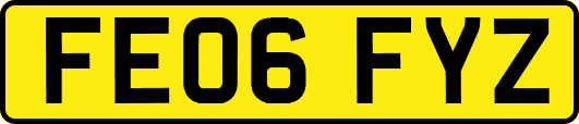 FE06FYZ