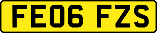 FE06FZS