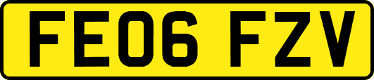 FE06FZV