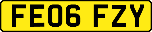FE06FZY