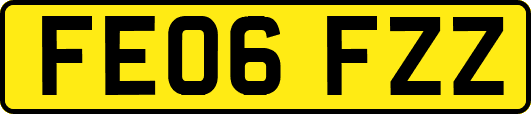FE06FZZ