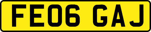 FE06GAJ