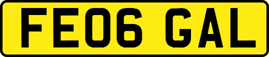 FE06GAL