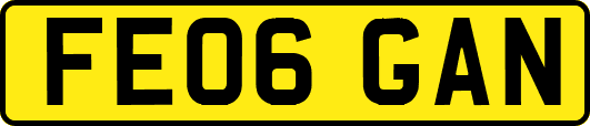 FE06GAN