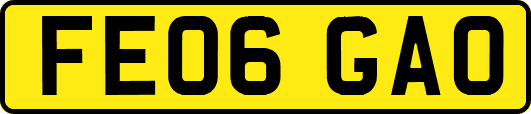 FE06GAO