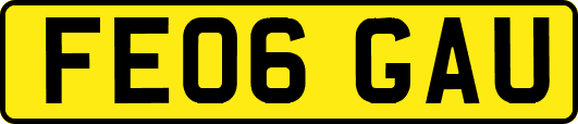 FE06GAU