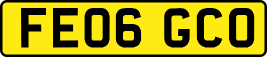 FE06GCO
