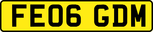 FE06GDM