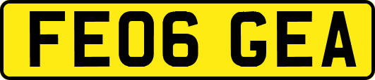 FE06GEA